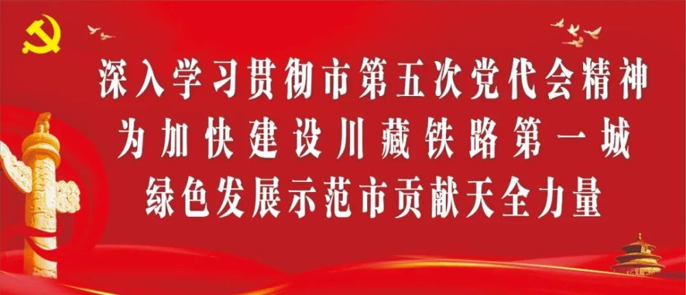 正版资料免费资料|全面贯彻解释落实